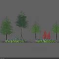 Plants Arrangement With Tall Green Trees Red Bush Low Green Plants And White Railing